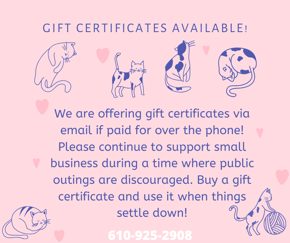 Gift Certificates available!